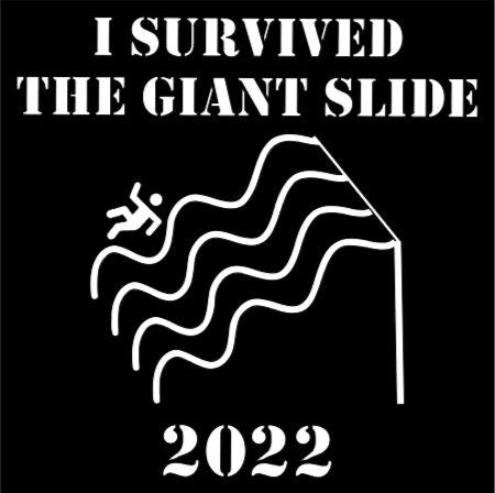 I Survived The Giant Slide Car Decal
